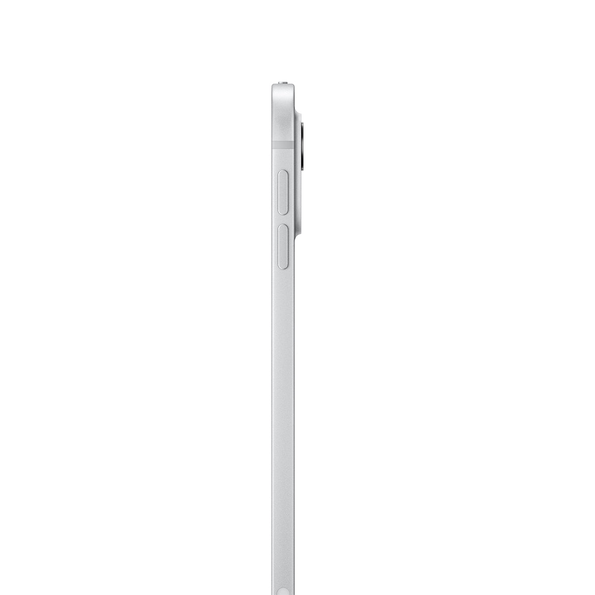 iPad Pro M4 11 Inci (Nano-texture Glass, 2024)