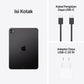 iPad Pro M4 11 Inci (Nano-texture Glass, 2024)