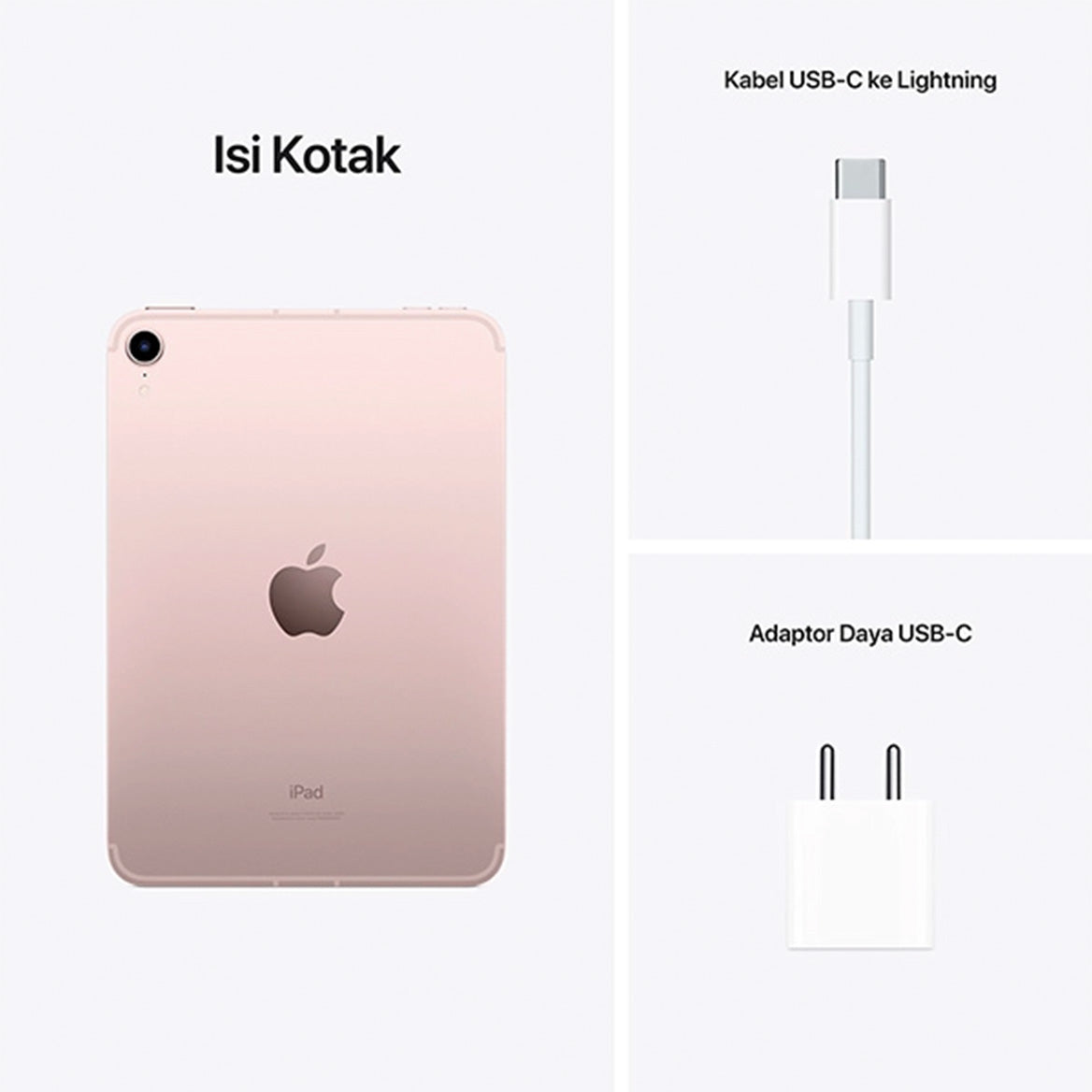 iPad mini Gen 6